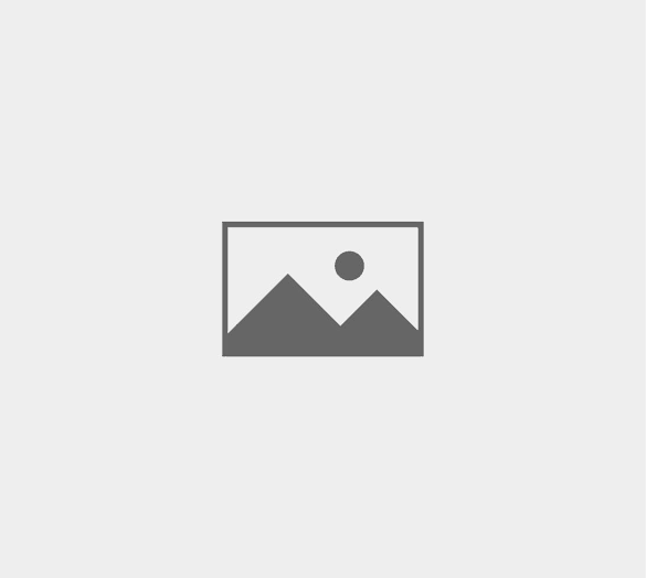 School & University Events